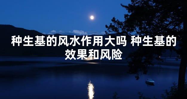 种生基的风水作用大吗 种生基的效果和风险